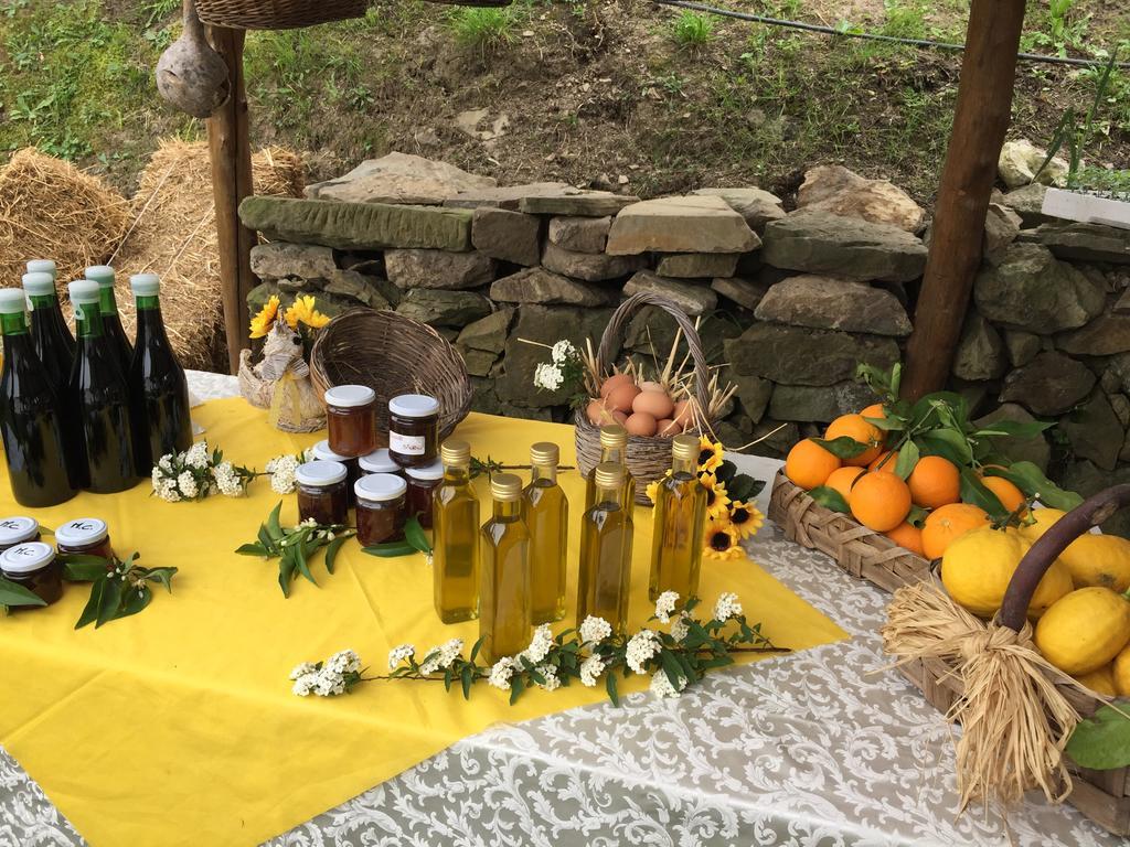Agriturismo Primaluce 소렌토 외부 사진